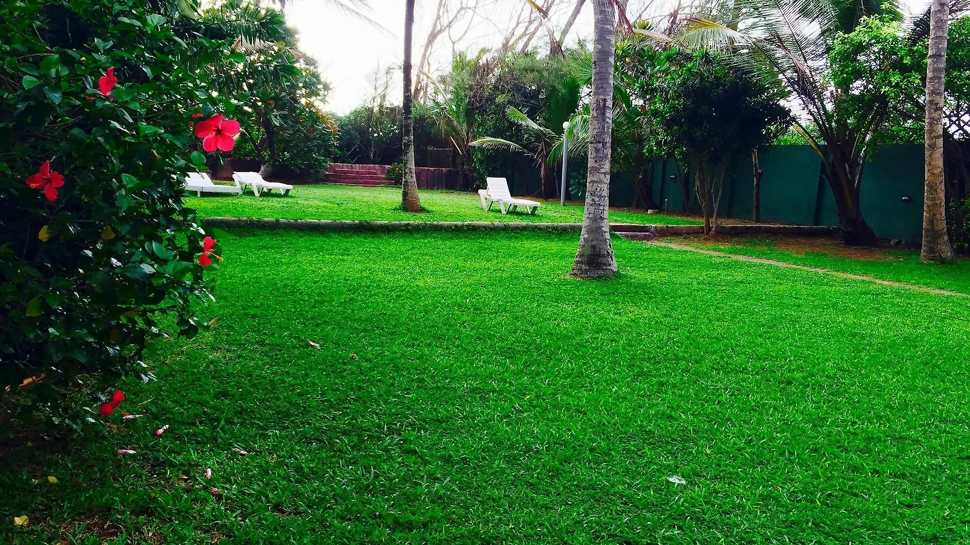 Ziegler Cottage Negombo