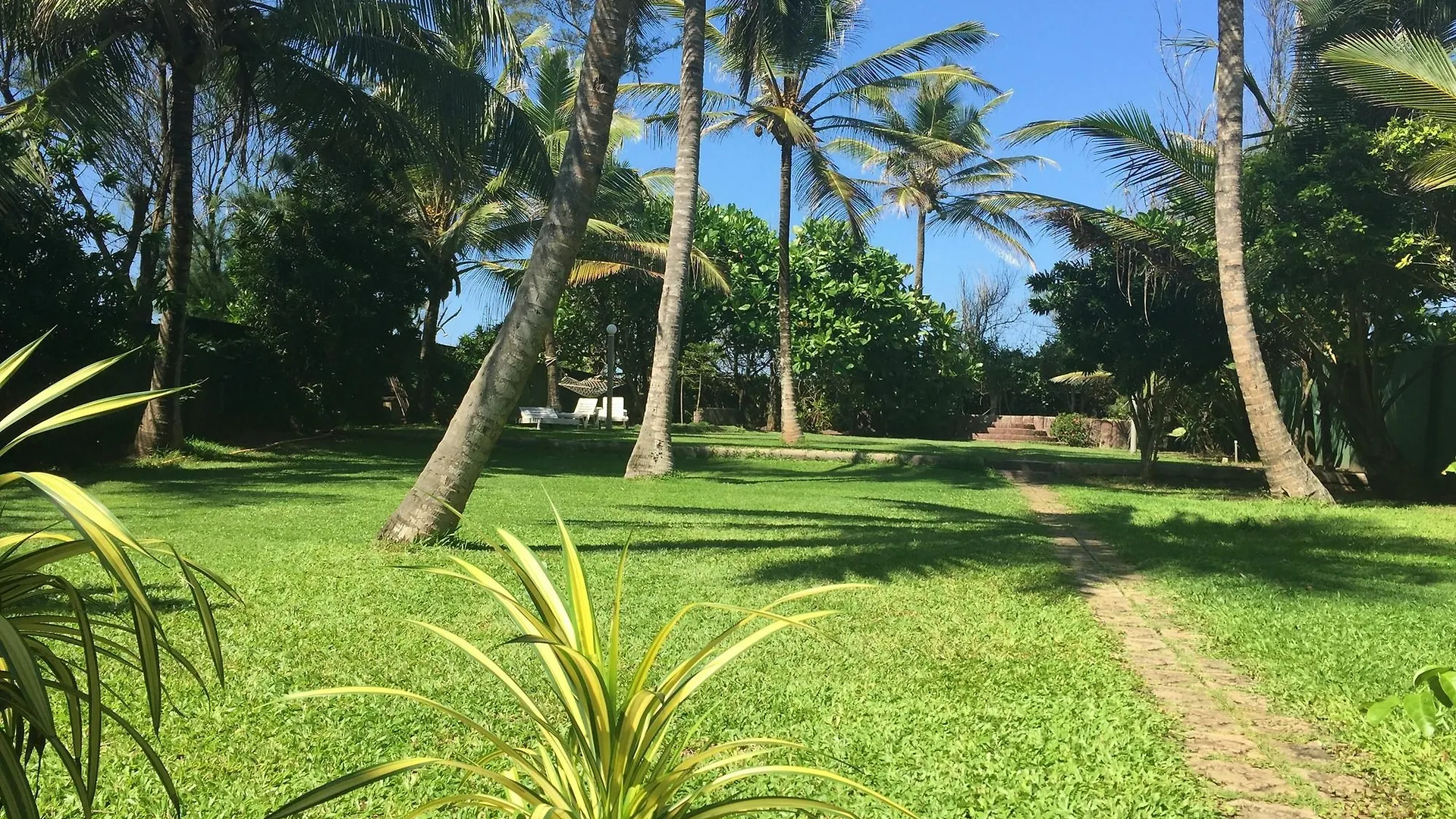 Ziegler Cottage Negombo Otel