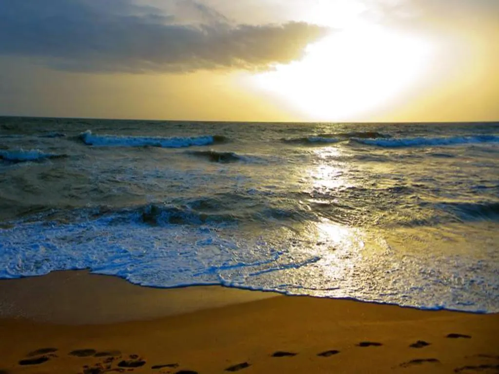 ** Hotel Ziegler Cottage Negombo Sri Lanka
